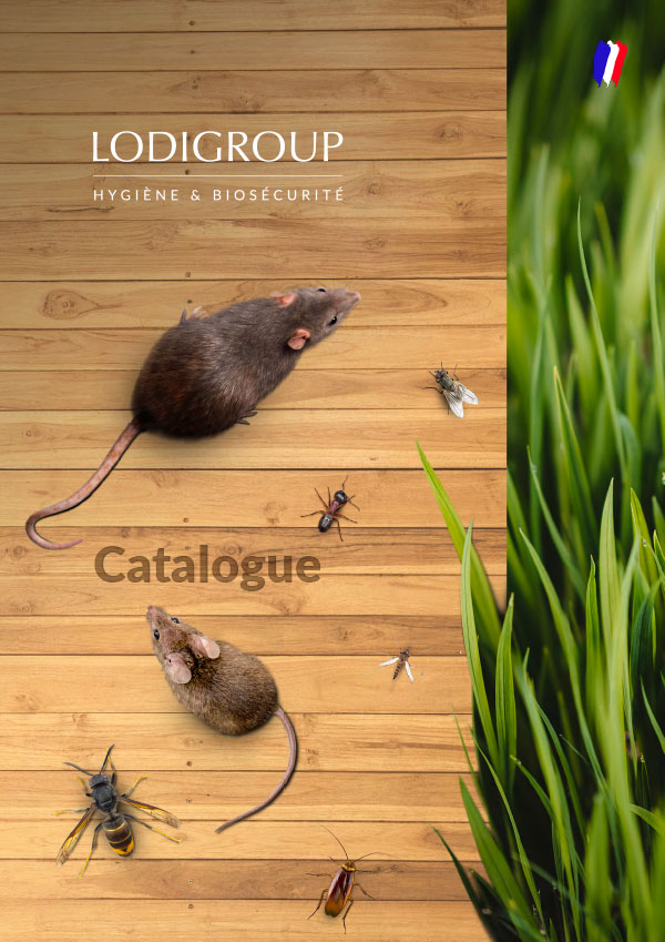 Catalogue 2022 MDD